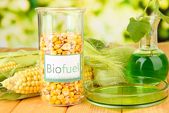 Amington biofuel availability